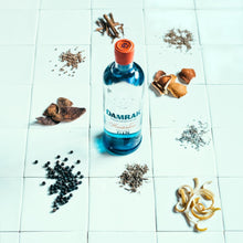 Load image into Gallery viewer, DAMRAK AMSTERDAM GIN